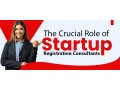 role-of-startup-registration-consultants-small-0