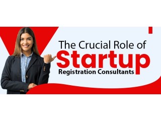 Role of startup registration consultants