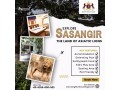 best-resorts-in-sasan-gir-bright-view-cottage-small-0